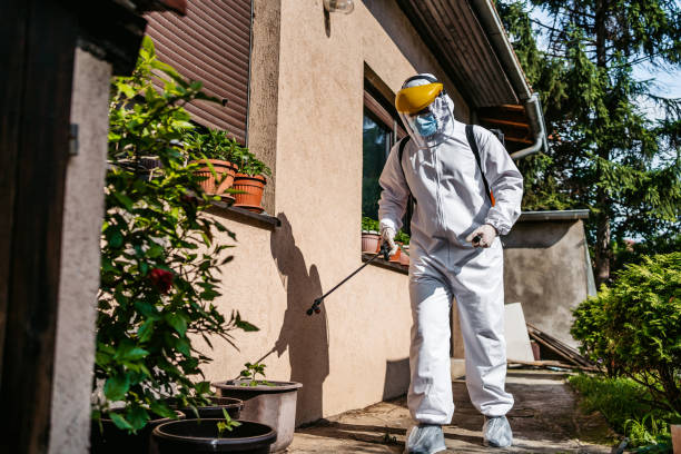 Best Affordable Pest Control Services  in Sudden Valley, WA
