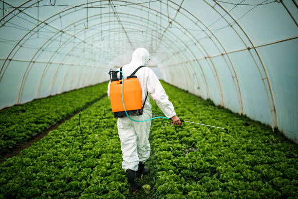 Best Pest Inspection Near Me  in Sudden Valley, WA