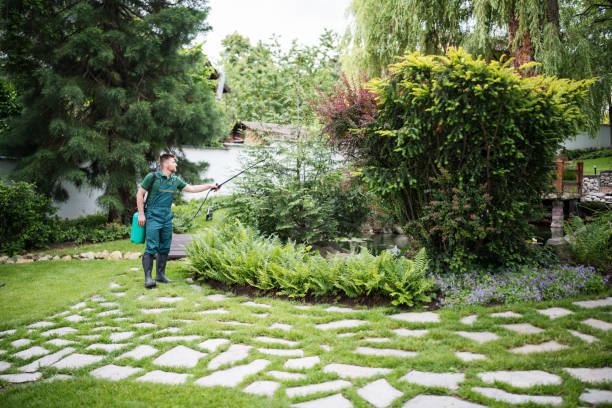 Best Pest Inspection Near Me  in Sudden Valley, WA