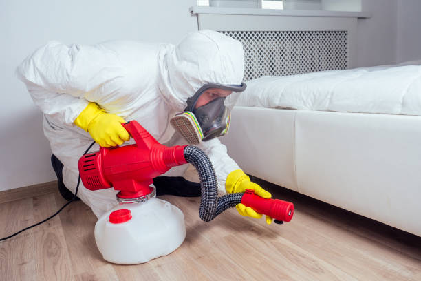 Best Wasp Removal Services  in Sudden Valley, WA