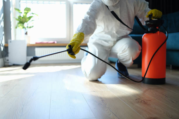 Best Pest Removal Services  in Sudden Valley, WA