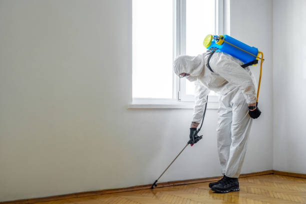 Best Termite Control Services  in Sudden Valley, WA