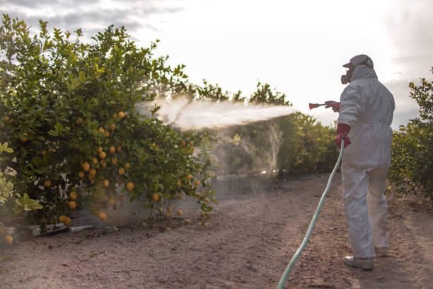 Best Pest Control for Businesses  in Sudden Valley, WA