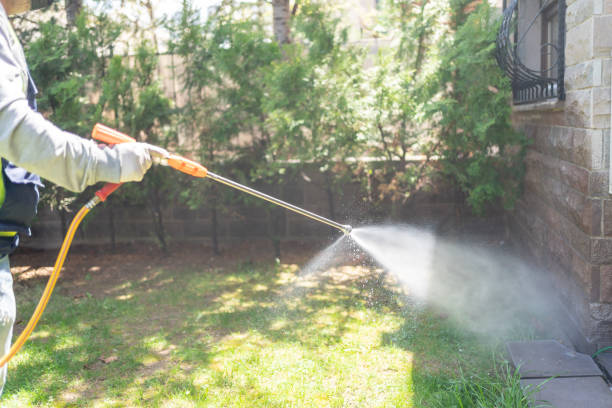 Best Local Pest Control Services  in Sudden Valley, WA
