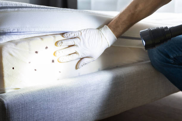 Best Cockroach Control Services  in Sudden Valley, WA