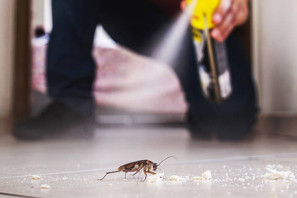 Best Affordable Pest Control Services  in Sudden Valley, WA
